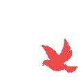哲遠(yuǎn)科技