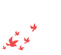 哲遠(yuǎn)科技